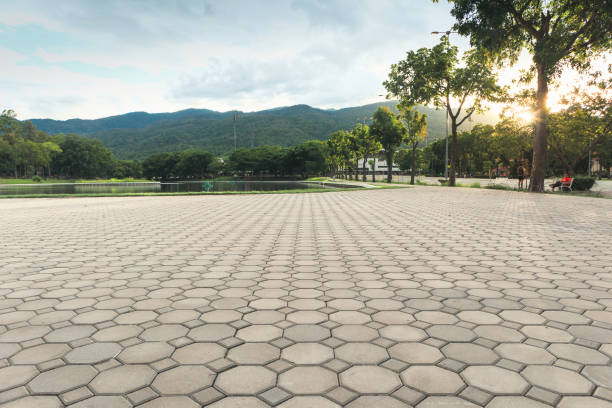 Best Residential Paver Driveway  in Fairbury, IL