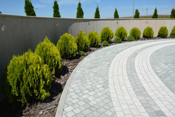Best Driveway Pavers Near Me  in Fairbury, IL